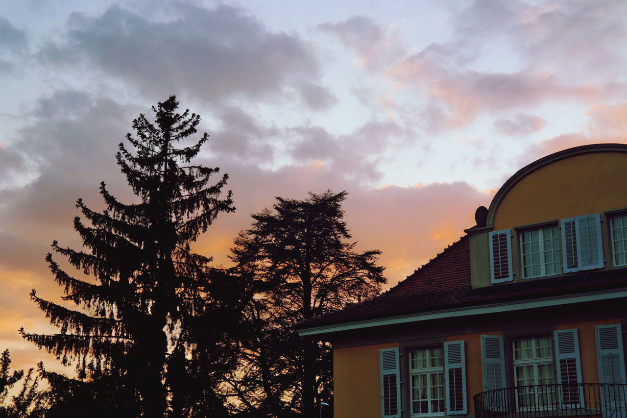 LOW ANGLE VIEW OF TREE AND HOUSE AGAINST SKY