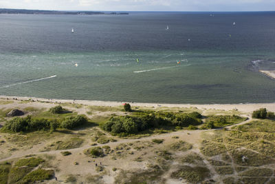 Rear view of people on beach