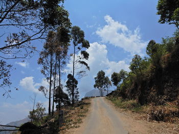 Road amidst trees against sky