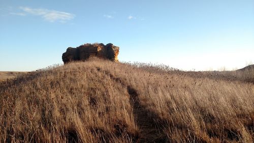 Scenic view of field against clear sky