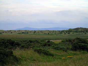 Scenic view of green landscape against sky