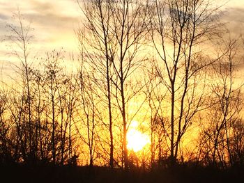 Silhouette bare trees against sky during sunset