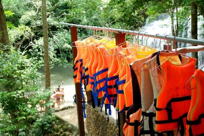 Clothes drying on clothesline against trees