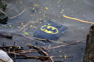 High angle view of text on wet leaves