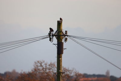 Low angle view of electricity pylon against sky