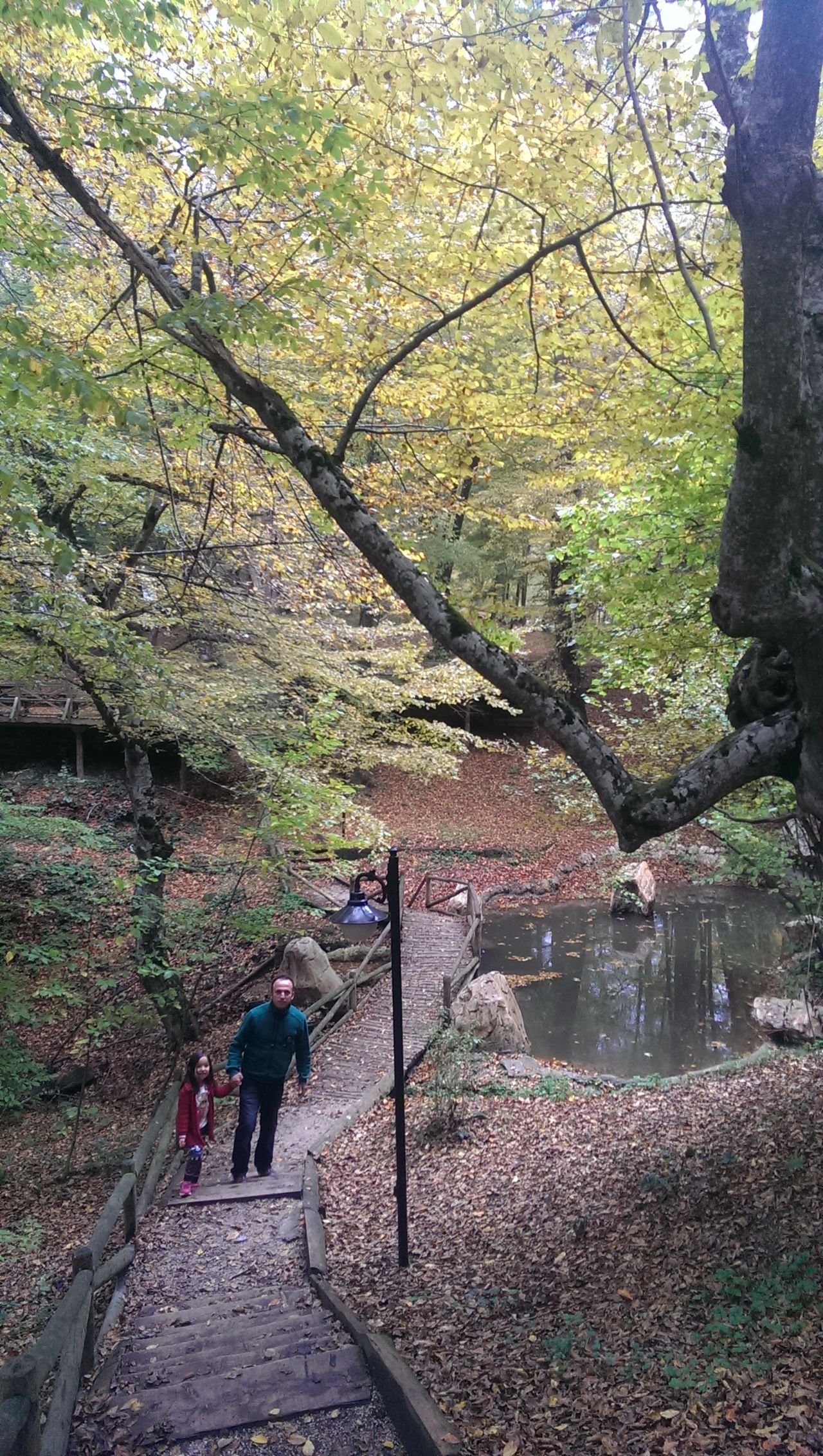 Bolu Tokadi Hazretleri