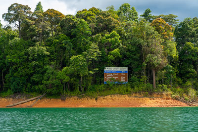 Scenic view of lake by trees in forest against sky