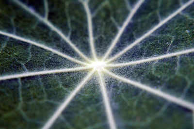 Close-up of spider web against sky