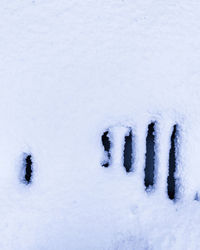 snow