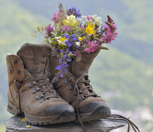 Close-up of shoes with colorful flowers on rock