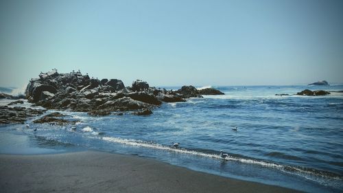 Scenic view of sea against clear sky