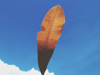 Low angle view of leaf against blue sky