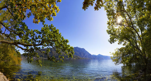 Scenic view of river amidst trees against sky