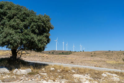 Trees on field against clear blue sky