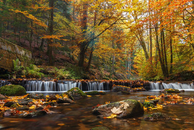 Stream flowing through rocks in forest during autumn