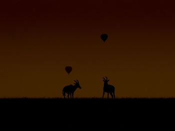 Silhouette horse on field against sky during sunset