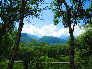 Scenic view of tree mountains against sky