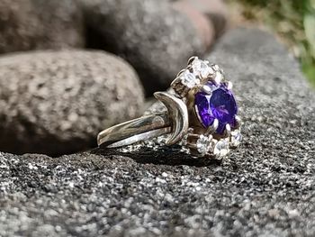 Close-up of purple flower on rock