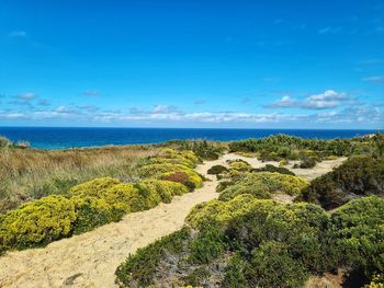 Scenic view of sea against blue sky