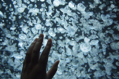 Close-up of human hand