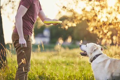 Midsection of man throwing plastic disc with dog on field