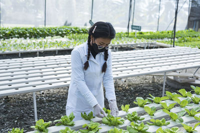 Happy young asian farmer checking green lettuce salad organic hydroponic vegetables in nursery farm.