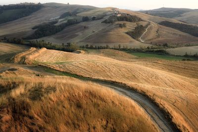 Scenic view of agricultural field