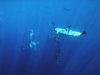 People swimming in sea