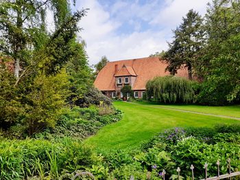 Trees and plants growing on field by houses against sky