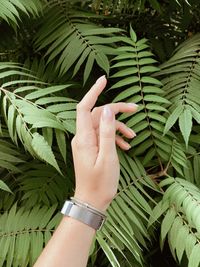 Close-up of woman hand against plant