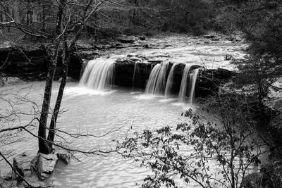 Scenic view of waterfall in forest