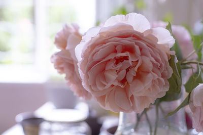 Close-up of rose in vase on table