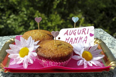 Close-up of cake with pink flowers