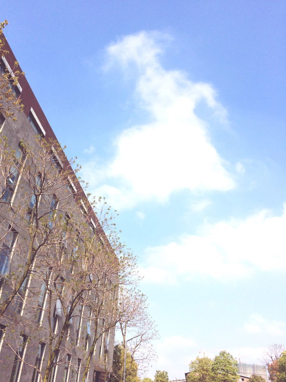 architecture, low angle view, built structure, building exterior, sky, cloud - sky, tree, building, cloud, blue, day, city, outdoors, no people, residential building, tower, history, high section, tall - high, old