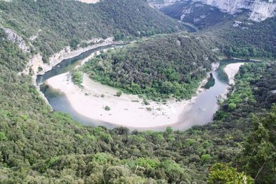 High angle view of river amidst trees in forest