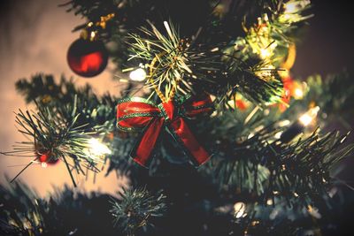 Close-up of christmas tree at night