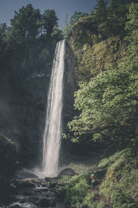 Scenic view of waterfall in forest