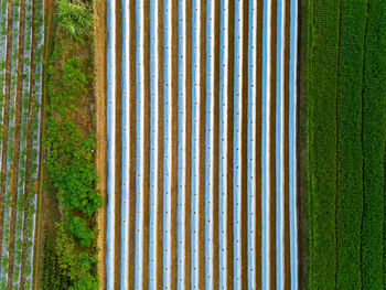 Full frame shot of wooden wall