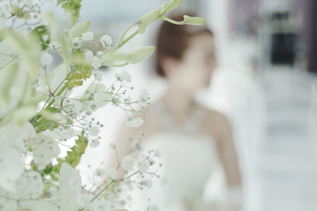 flowering plant, flower, plant, adult, white color, women, real people, leisure activity, one person, selective focus, beauty in nature, lifestyles, vulnerability, fragility, freshness, growth, standing, young adult, nature, flower head, beautiful woman