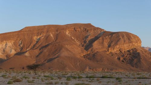 Scenic view of desert against clear sky at sunrise 