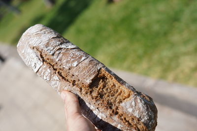 Close-up of human hand holding wood