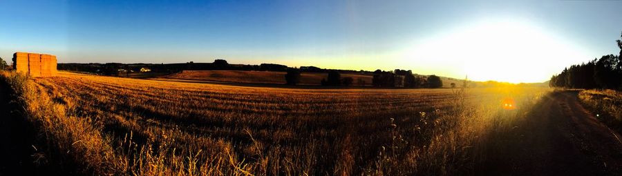 Sunset over field