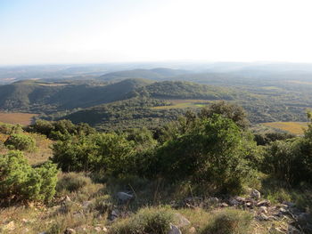 Scenic view of landscape against sky