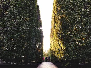 People walking on road