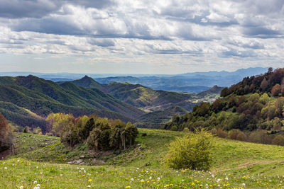 Scenic view of landscape against sky