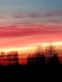 Silhouette trees against sky during sunset