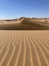 Namib sanddunes 