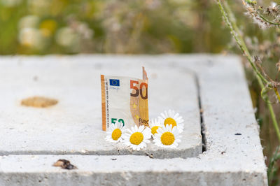 Close-up of yellow toy on retaining wall