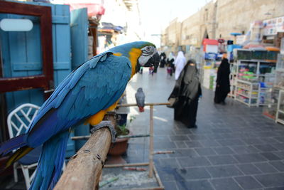 Katar qatar doha