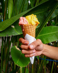 Hand holding ice cream cone gelato